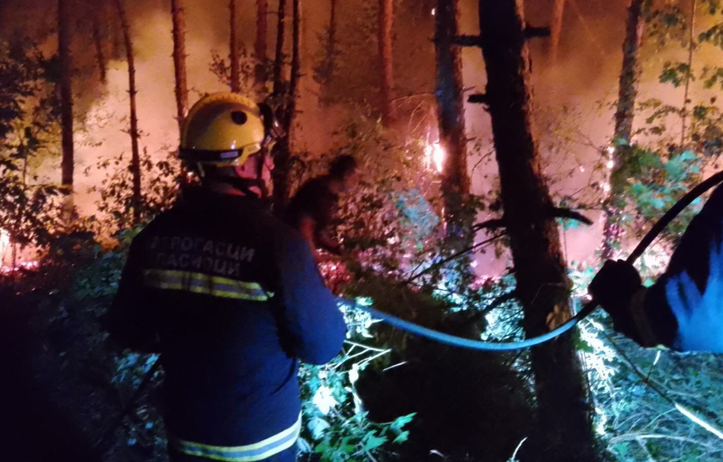 Пожар који је јуче избио у околини Прешева, за мање од 24 часа стављен је под контролу