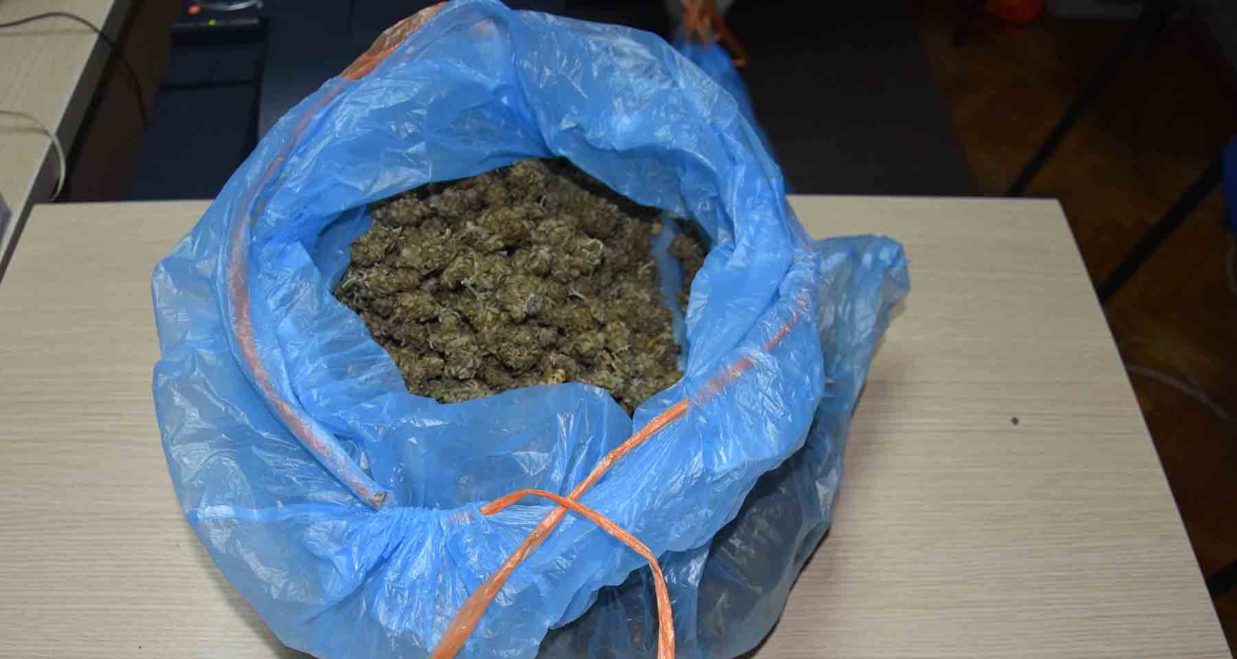 Заплењено девет килограма и 800 грама марихуане,откривен засад  и ухапшени осумњичени 