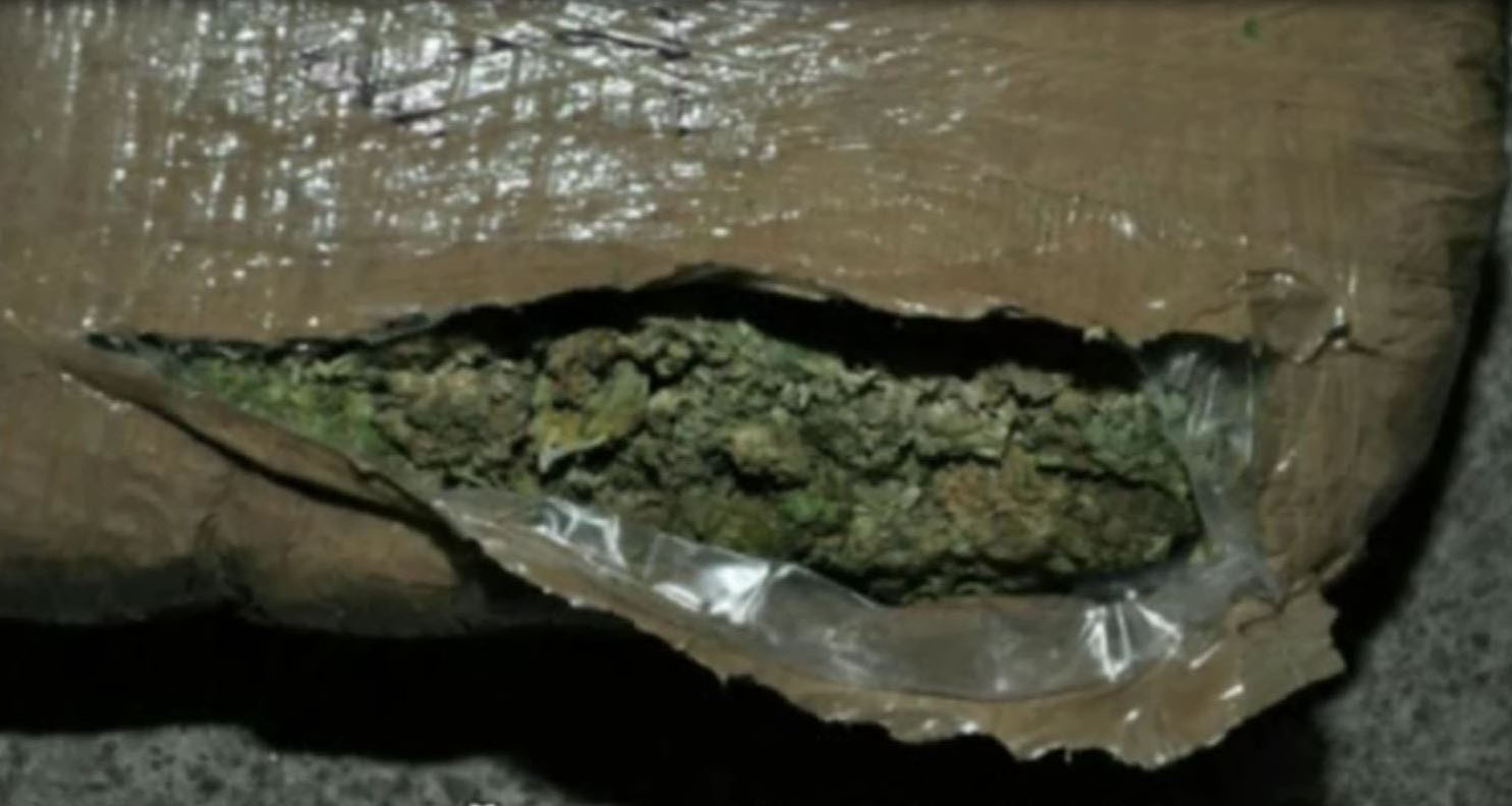 U Jagodini i Kraljevu zaplenjeno 48 kilograma marihuane