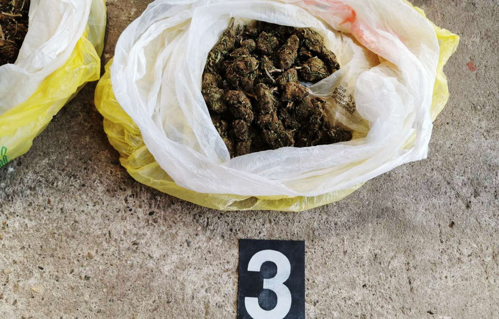 Zaplenjeno 3,2 kilograma marihuane