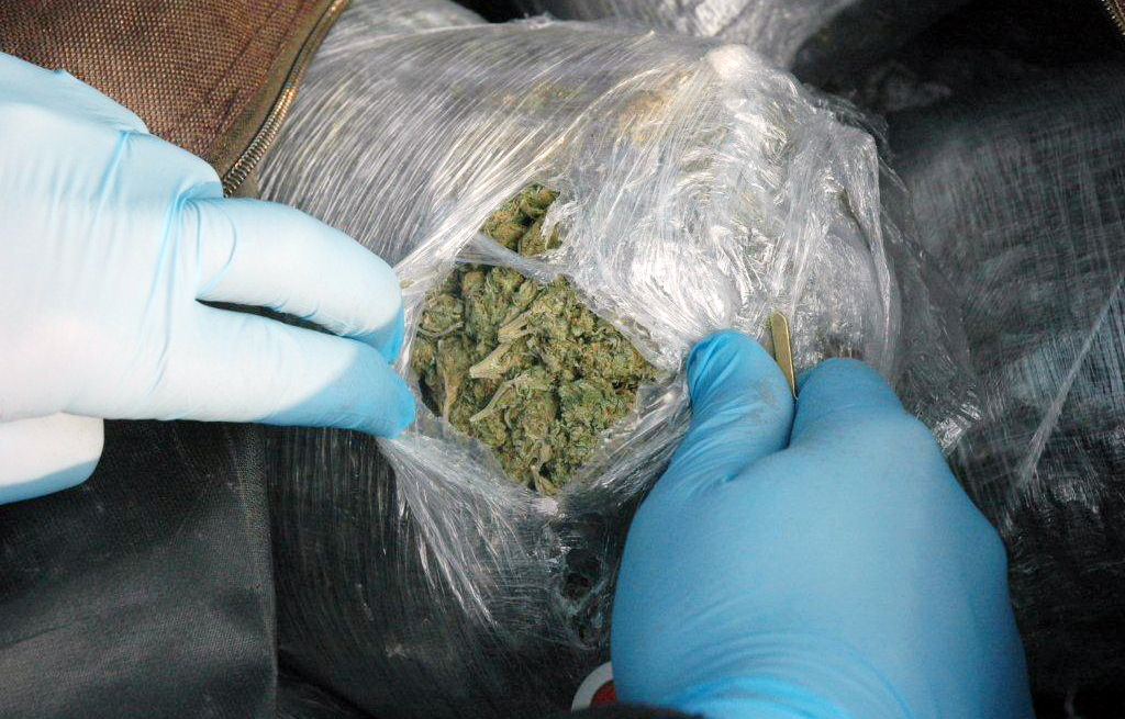 Заплењено више од 47 килограма марихуане, ухапшена једна особа