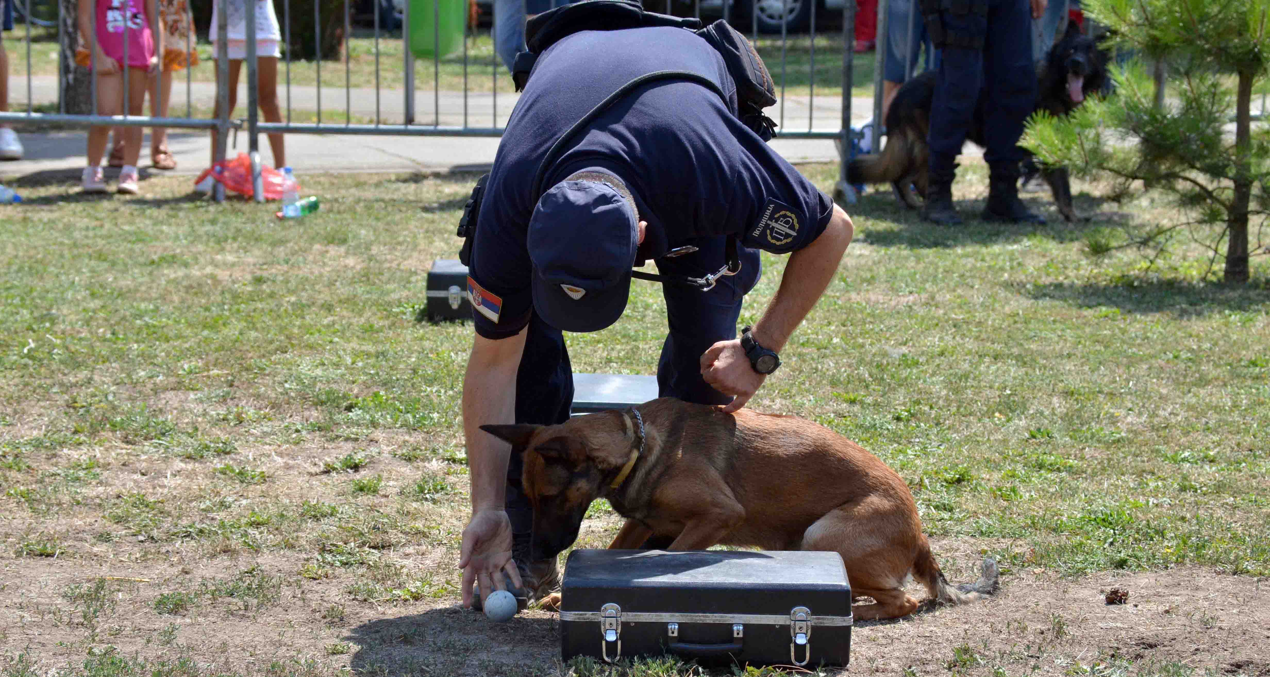 Полицијски пси у служби грађана више од четири деценије