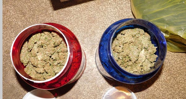Zaplenjeno više od dva kilograma marihuane i otkrivena improvizovana laboratorija