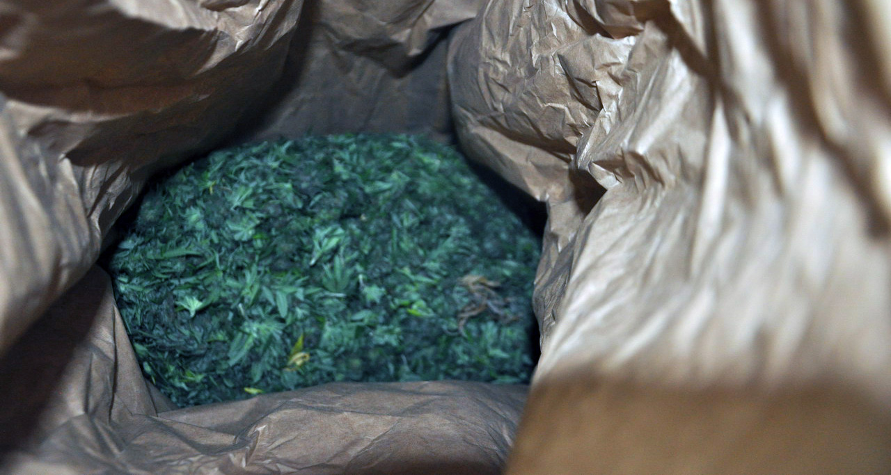 Пронађена ручно прављена сушара за марихуану у викенд насељу поред Ирига