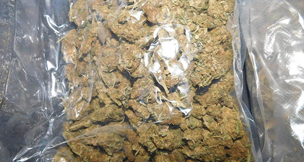 Na GP Batrovci uhapšene dve osobe i zaplenjeno preko 11kg marihuane