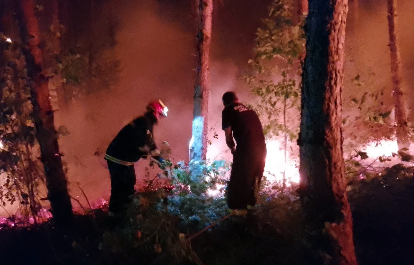 Пожар који је јуче избио у околини Прешева, за мање од 24 часа стављен је под контролу