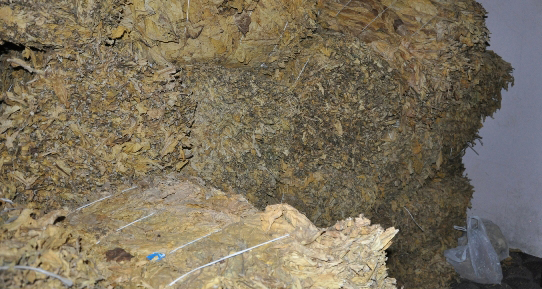 U Šapcu i okolini pronađeno oko tri tone duvana u listu